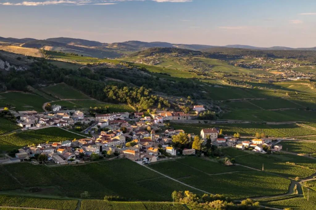 057_etienne-ramousse_collovray-et-terrier_vendanges_site-internet_2019-1200x800