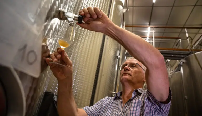 063_etienne-ramousse_collovray-et-terrier_vendanges_site-internet_2019-e1597664602635-768x442