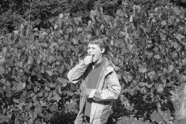 domaine-deux-roches-histoire-1-e1597223909745-768x511